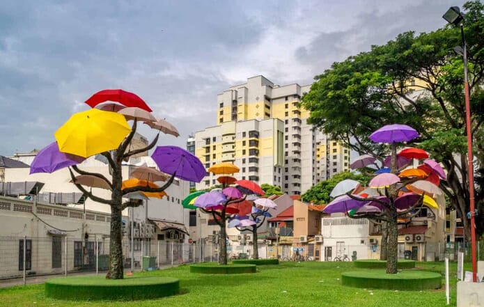 Umbrella Trees in Singapore's Little India