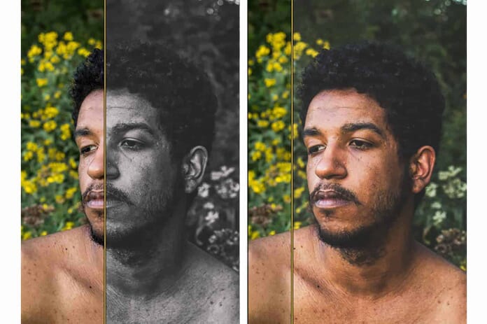 Matte free Luminar presets