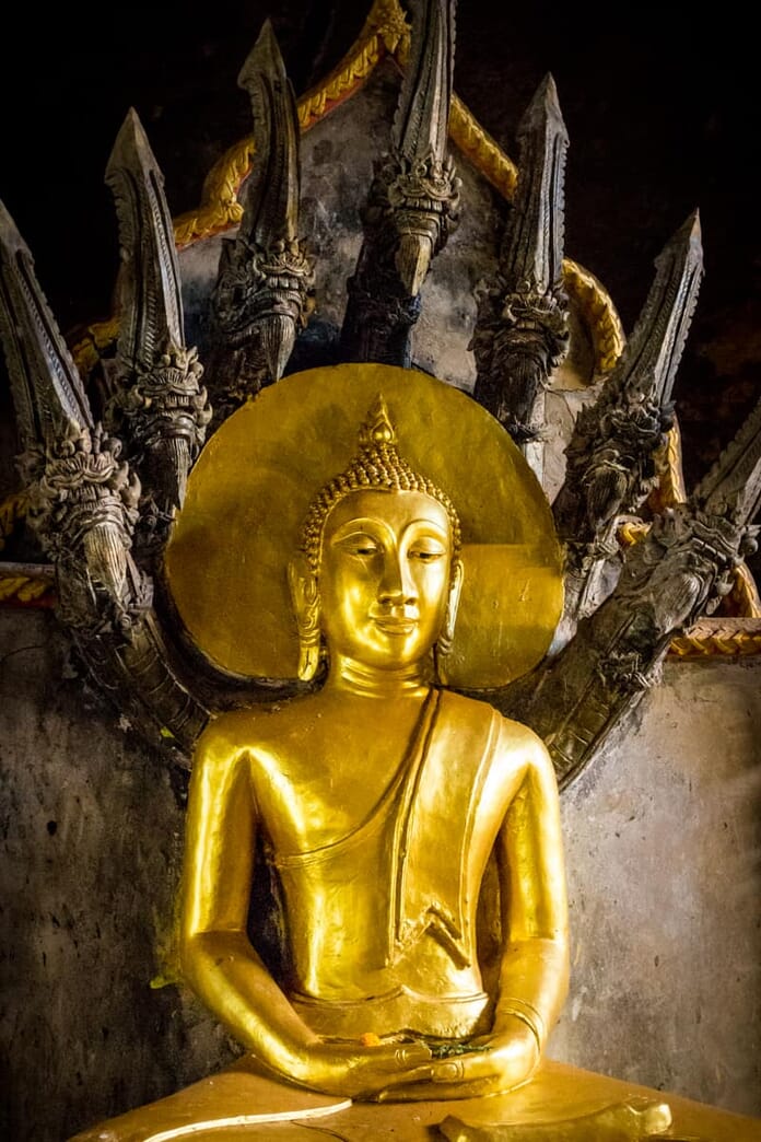 What to photograph in Thailand - Monkey Temple