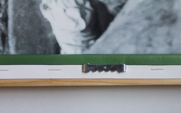 ElephantStock Frame Close-Up