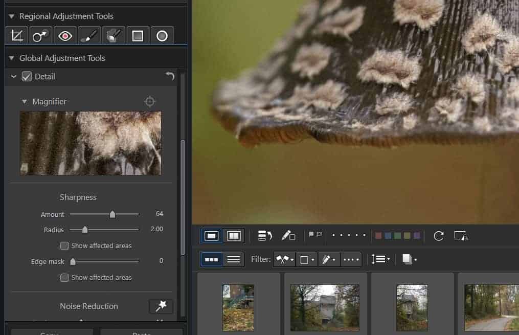 photodirector 10 essential for msi