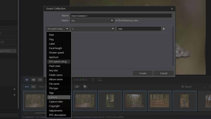 photodirector 10 review