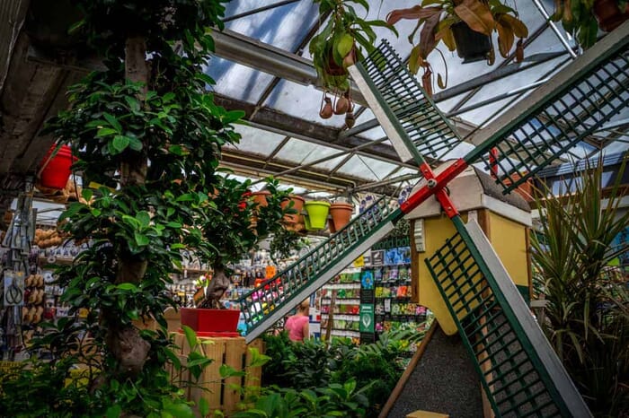 What to photograph in Amsterdam - Flower Market