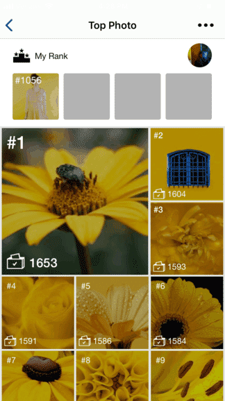 GuruShots contest photos