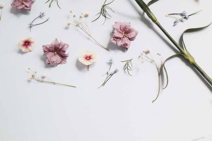 flower flat lay