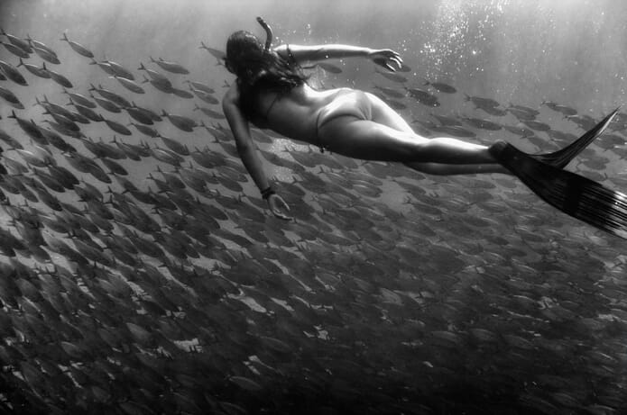 underwater photography in hawaii
