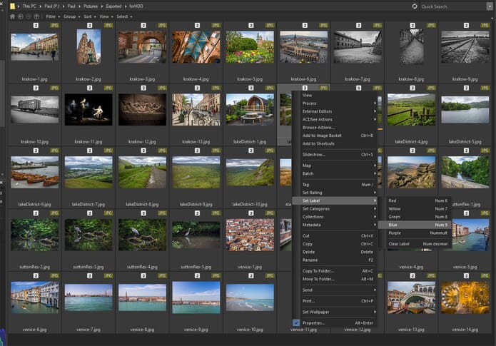 ACDSee Photo Studio Ultimate 2019 Review - Photo options