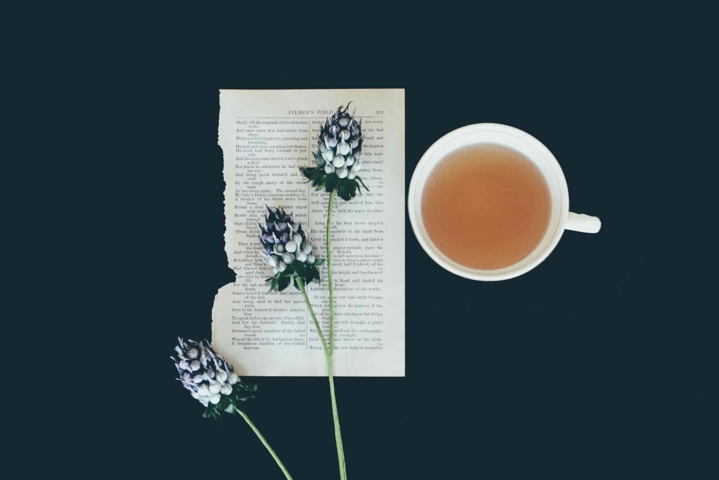 flat lay photography