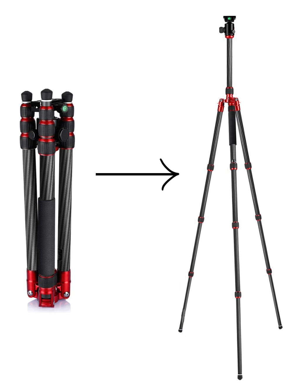 best travel tripod for beginners