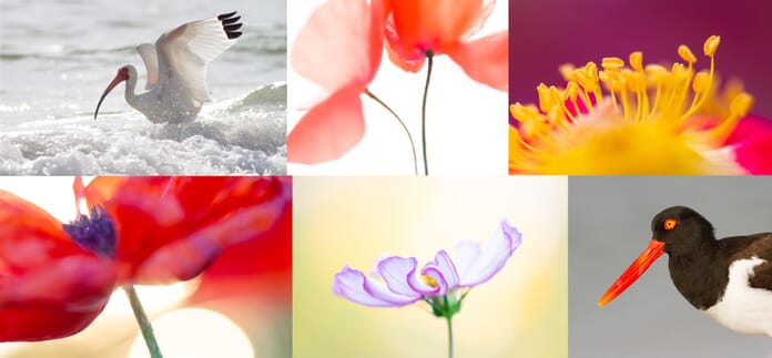 edit photos composite