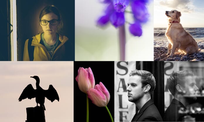 Learning photography showcase of different genres