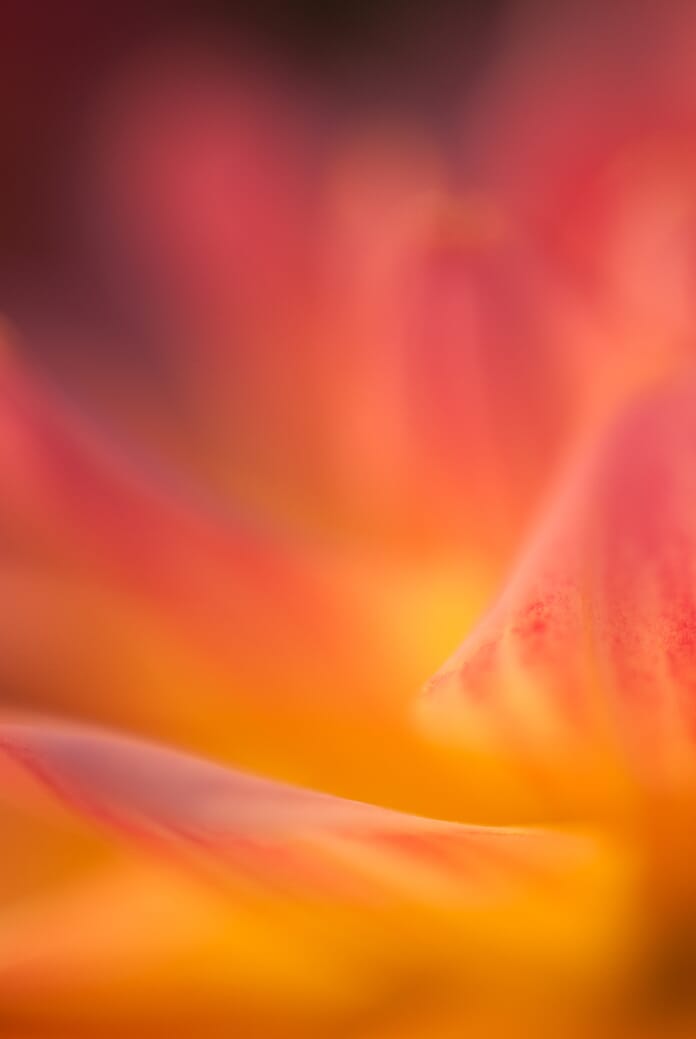 learn photography depth of field
