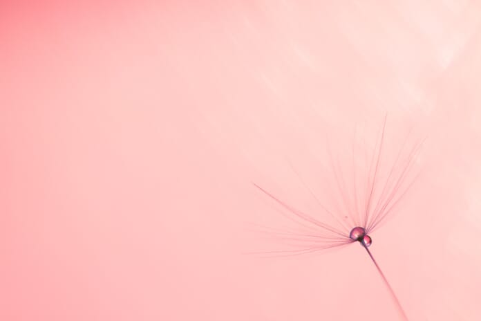 learn photography using a simple background