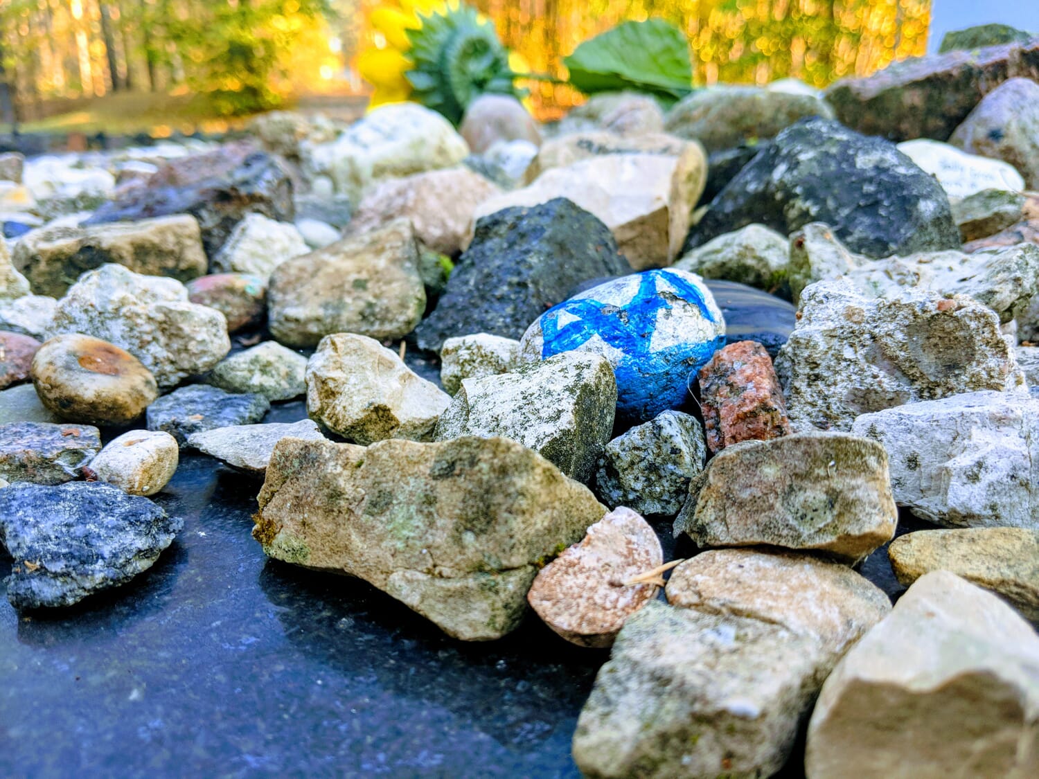 how to take memorial pictures holocaust memorial stones