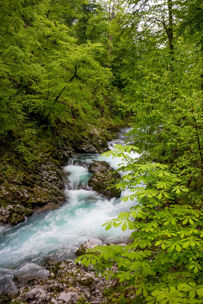 Vintgar Gorge