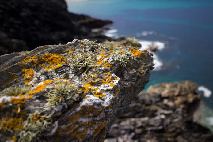 Rocks at Porth Joke Beach