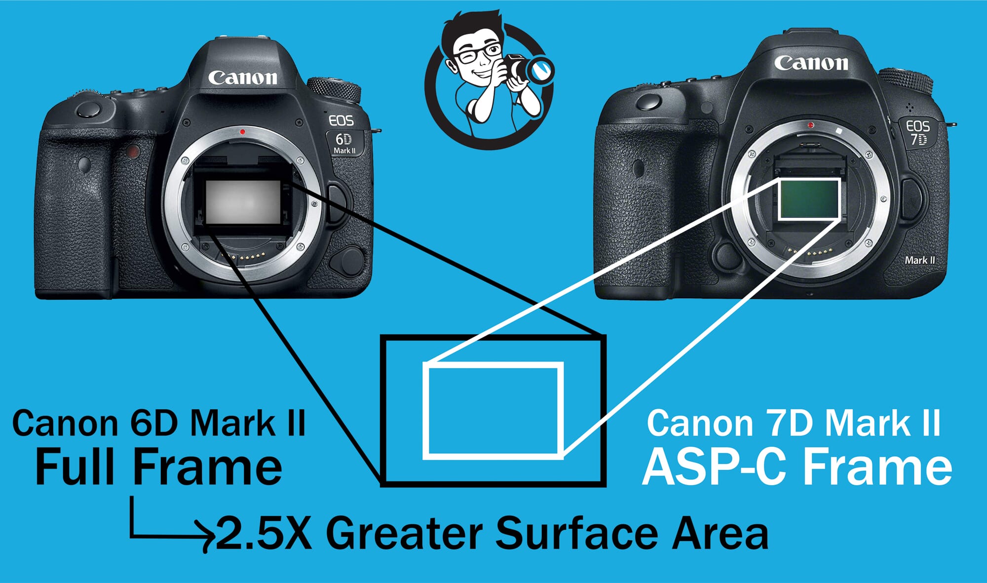 Sensor Canon 6D vs 7D