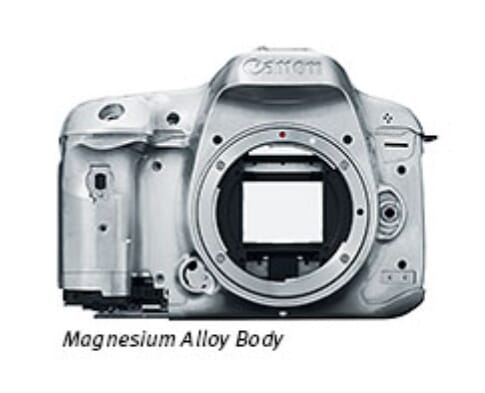 7d body