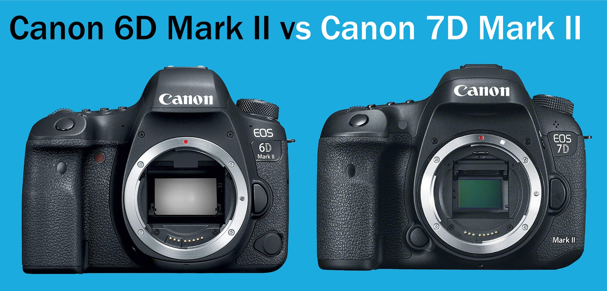 Canon 6D Mark II vs. 7D II: Better Quality Speed?