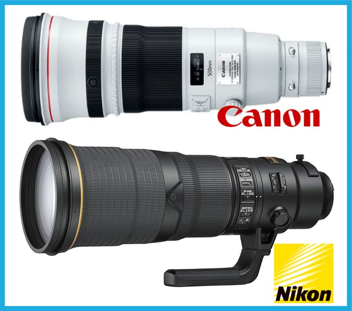 500mm wildlife lenses
