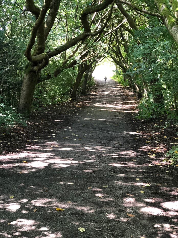 burst mode child running through trees.