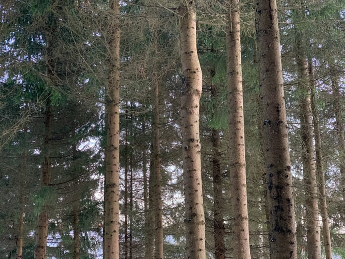 Sharp smartphone photography
