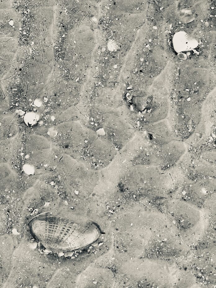 Rule of thirds shells