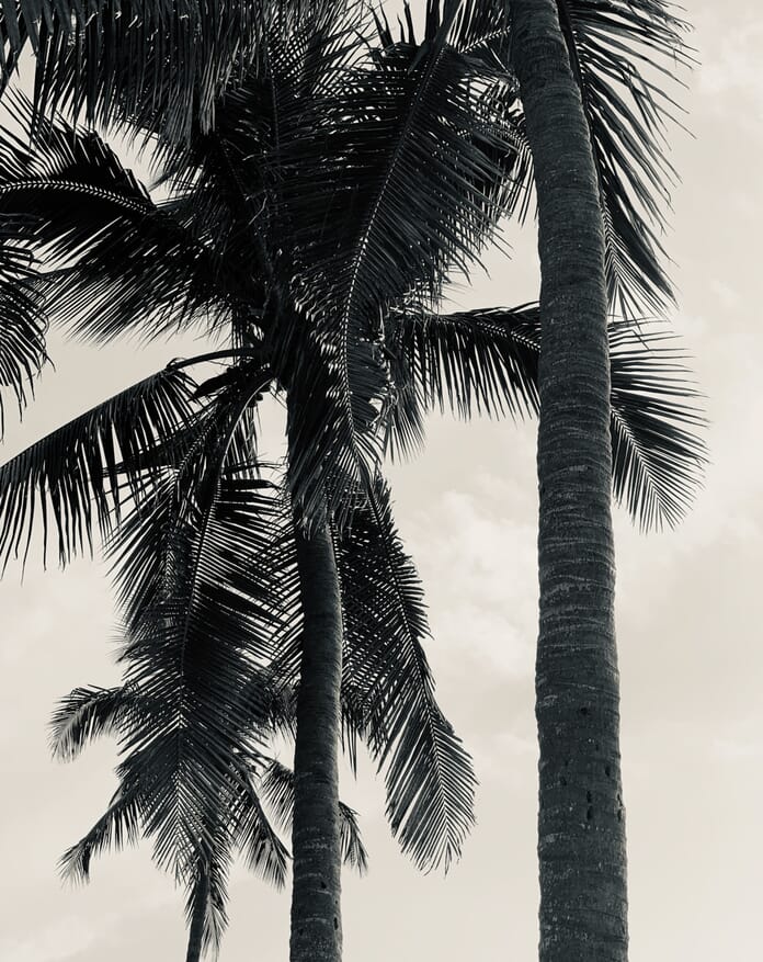 Light and exposure smartphone photography