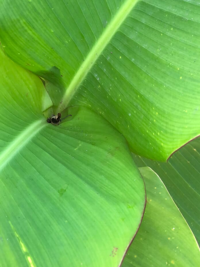 Light and exposure smartphone