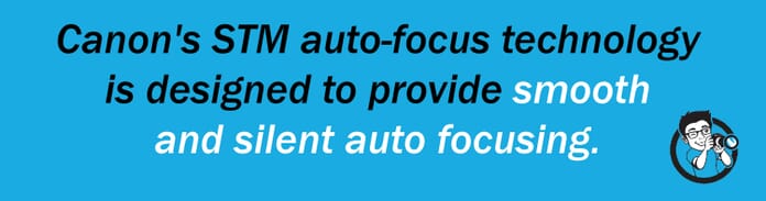 quote 2 best canon lenses for video