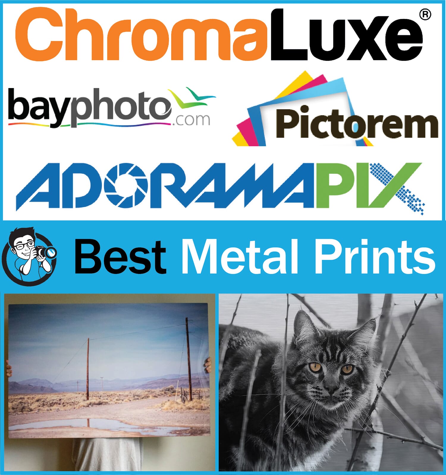 best metal prints