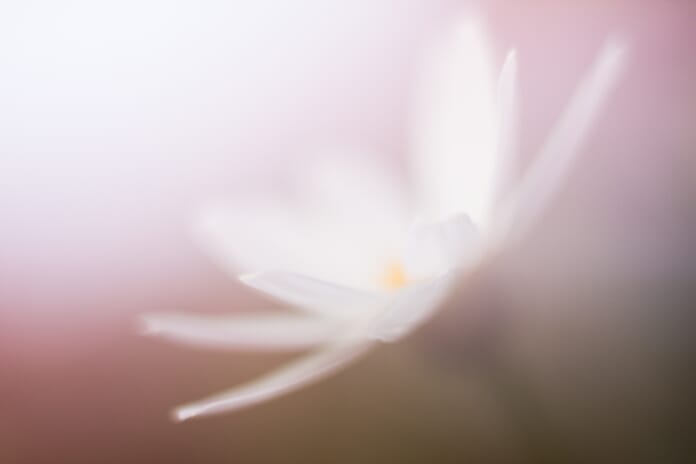 Stabilize your body for sharper images and improve your photography