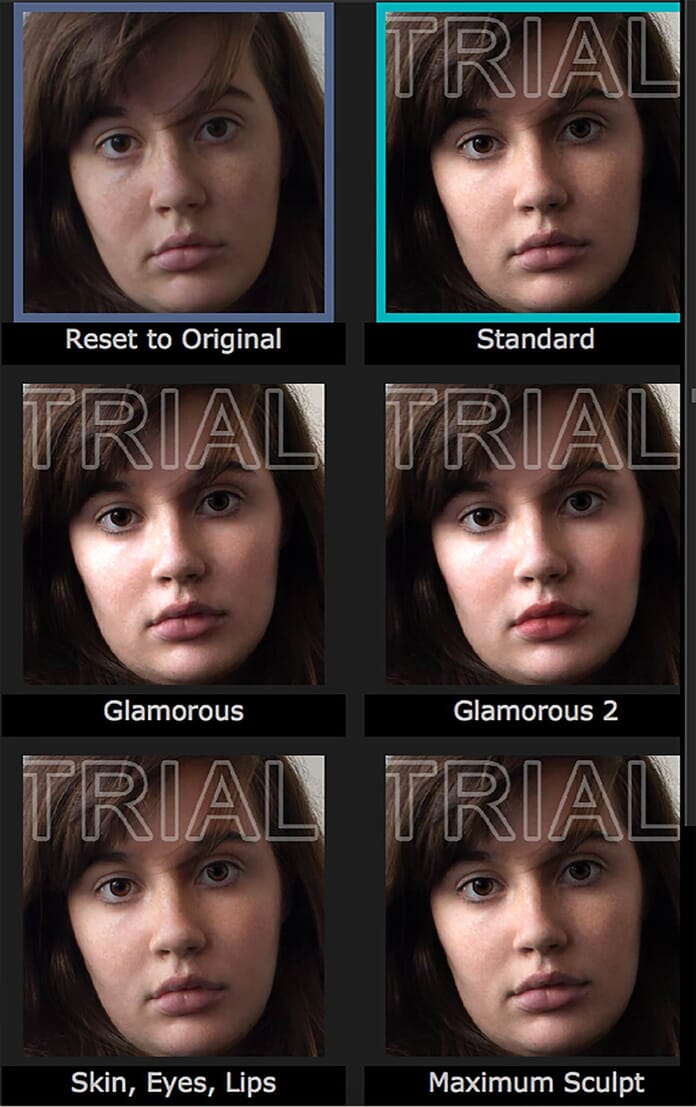 PortraitPro 18 preset selections