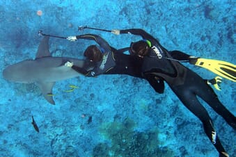 Best Diving Cameras in 2021