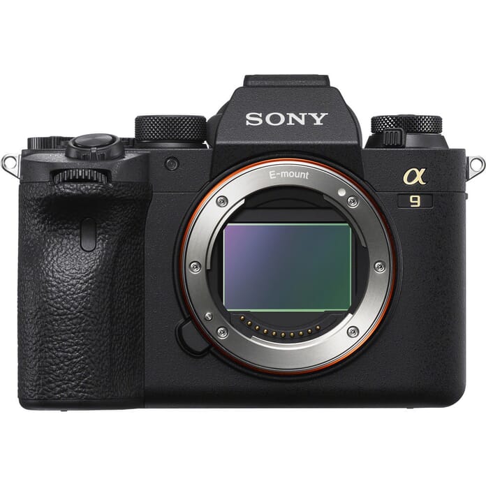 Sony a9 II best cameras for wildlife photography