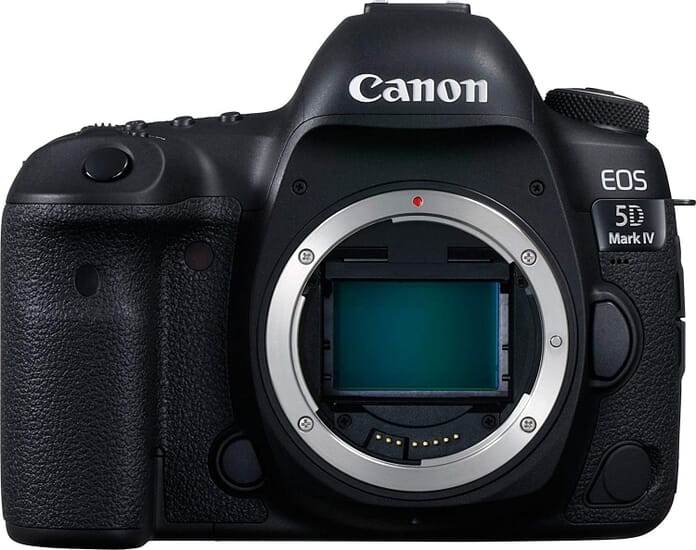 best cameras for wildlife photography canon 5d mark iv