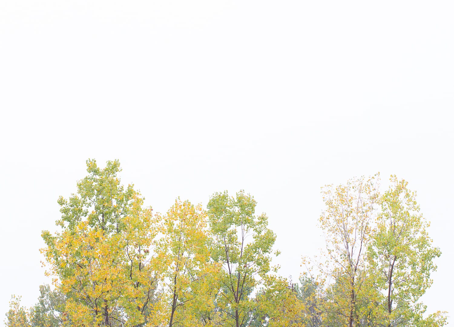 landscape photograph