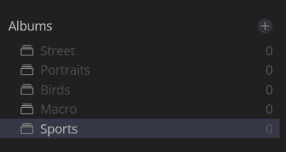albums to organize photos in Luminar