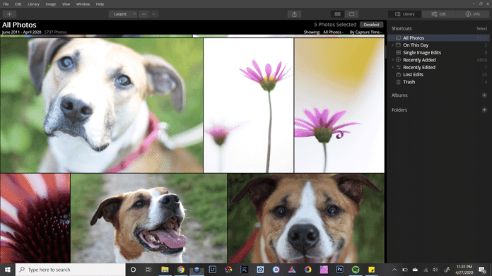 organizing in luminar