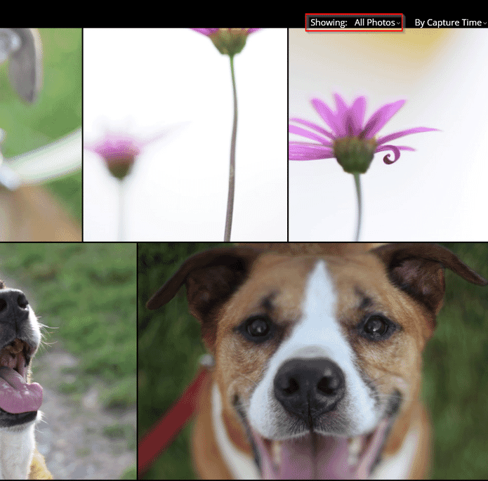All photos toggle