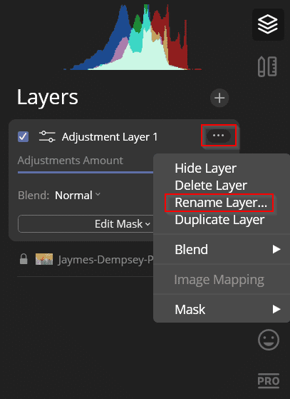 renaming layers