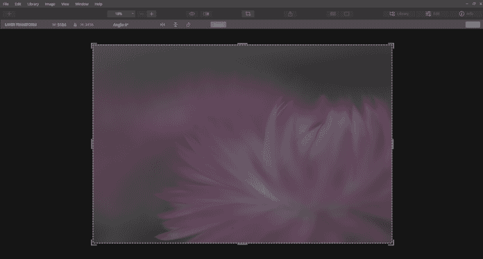 crop resize, flip, rotate