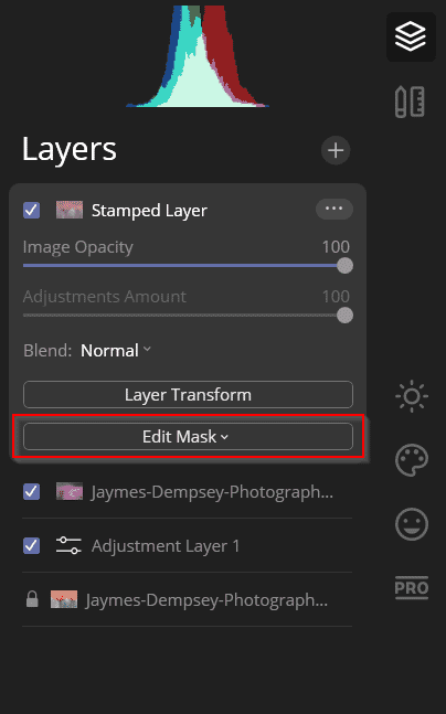 edit mask