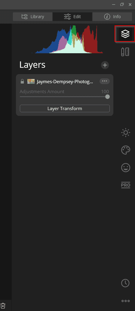 layer button