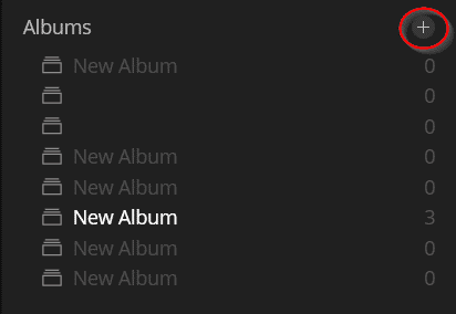 adding an album luminar organize