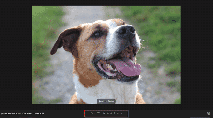 loupe view in luminar