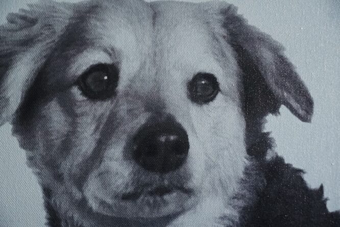 CanvasPop Pet Portrait Review: A New Canvas Print for Pet Pictures!