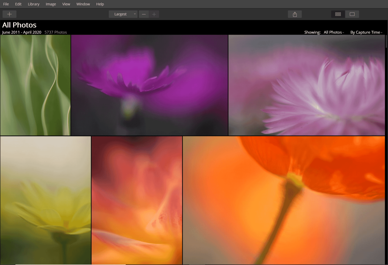 The Luminar Essentials Panel: Your Guide to Basic Editing in Luminar 4