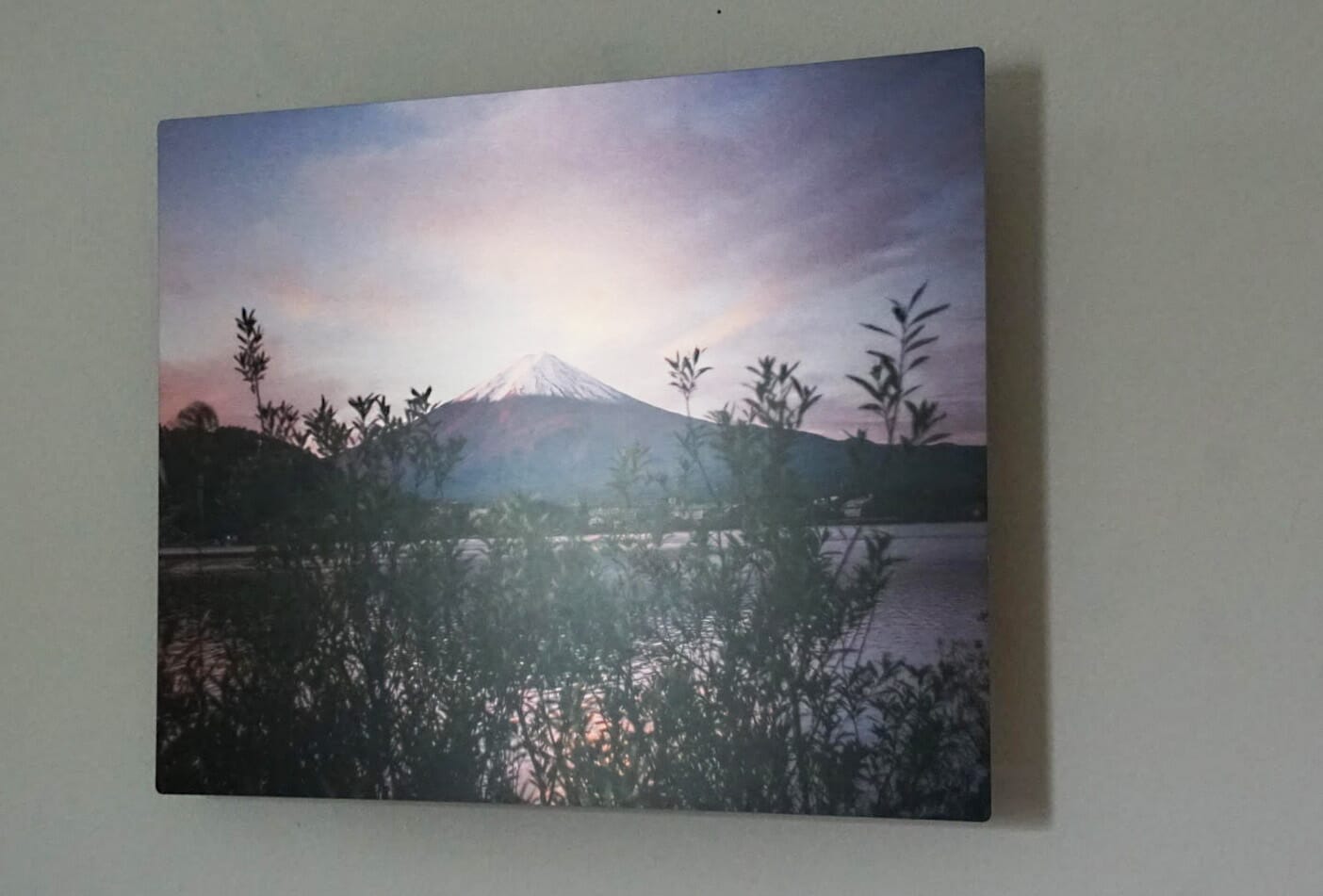 Testing Out the Printique Metal Print: Our Thoughts on This Stunning Print
