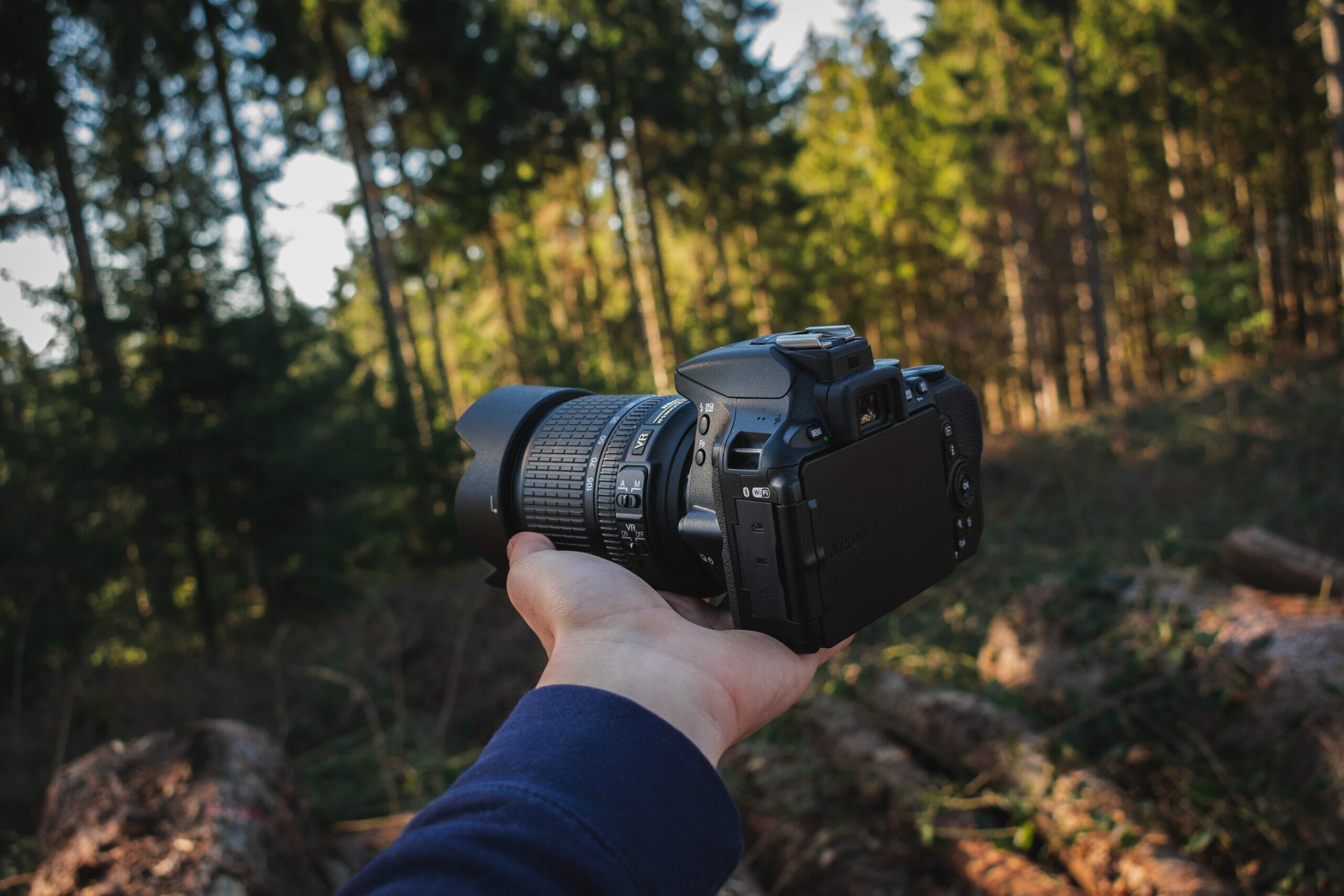 Nikon D5600 vs D3500: Which Entry-Level DSLR Is Right for You?
